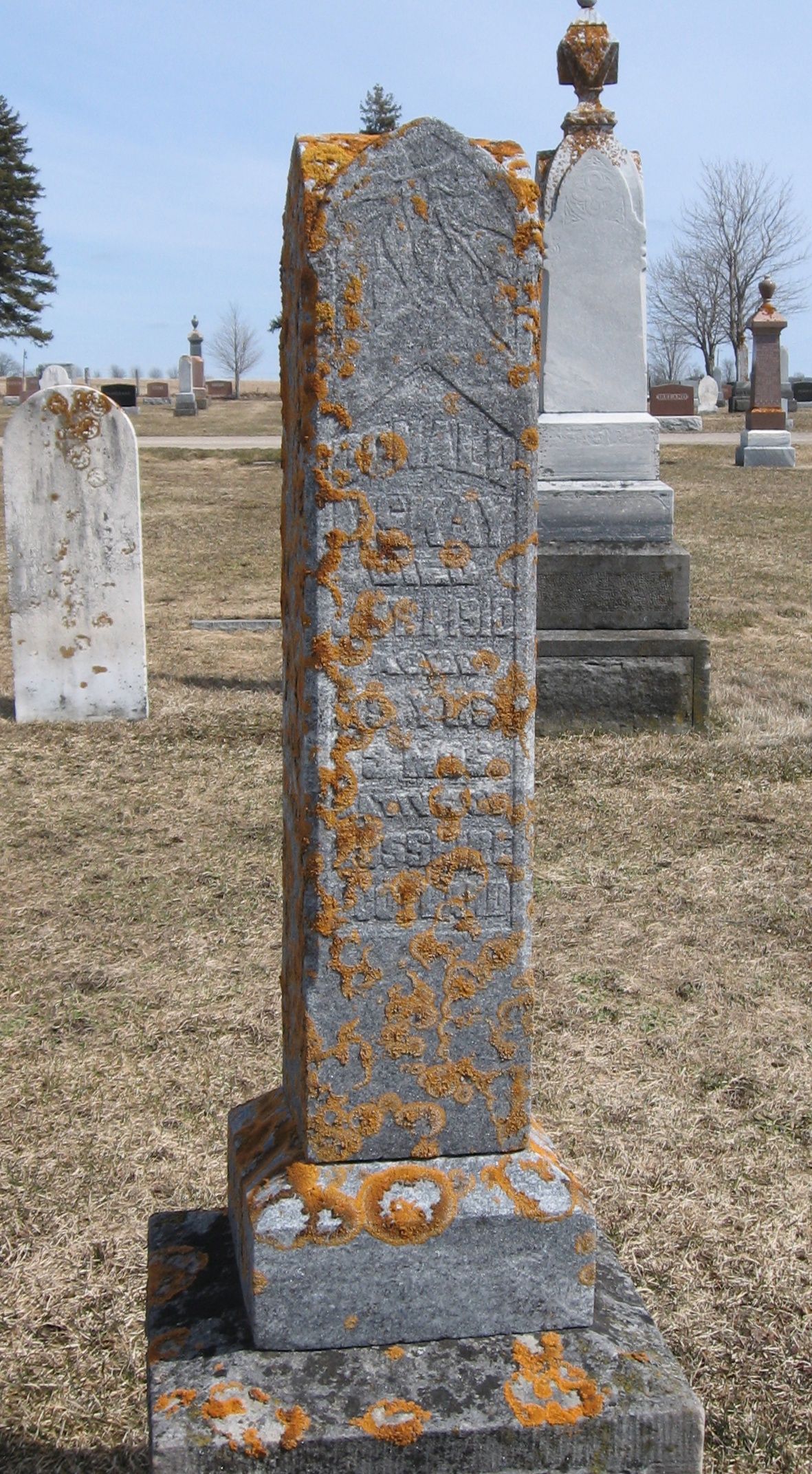 Photo of headstones/Donald McKay d1910 hdstn Culross-Teeswater cem ON